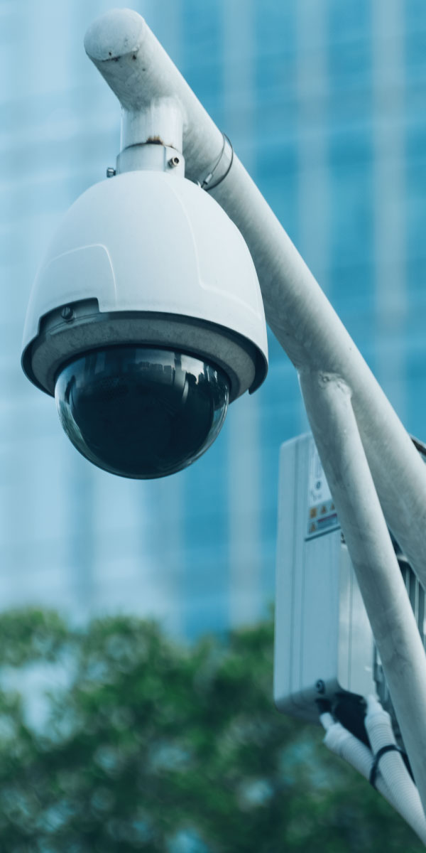 Licenciatura en Seguridad y Estudios Estratégicos