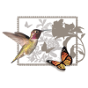 CENTRO COLIBRI